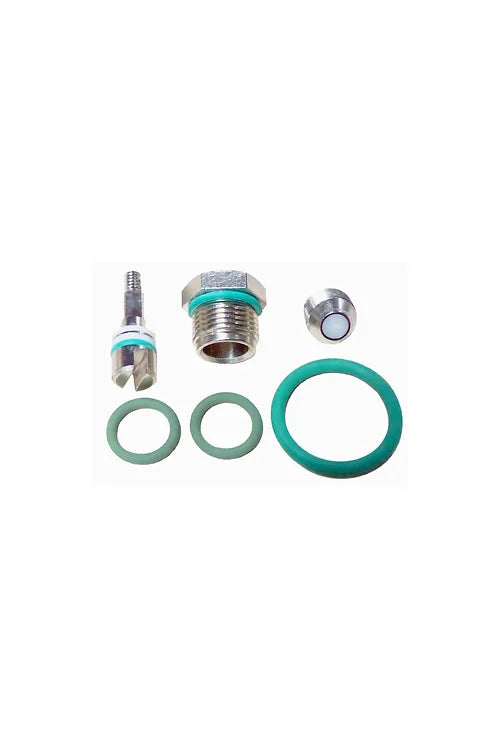 Beaver - Cylinder Valve Service Kit